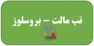 خراسان جنوبی/ طبس مسینا / تب مالت