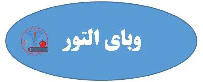استان خوزستان/ اهواز شرق/ التور